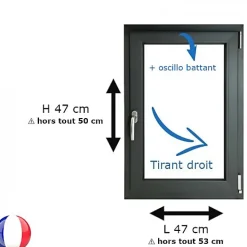 Gefradis Fenêtre Pvc<Fenêtre PVC 1 vantail H 47 x L 47 cm OB anthracite pour pose en neuf - tirant droit