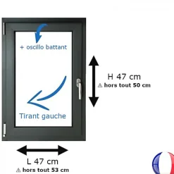Gefradis Fenêtre PVC 1 vantail H 47 x L 47 cm OB anthracite pour pose en neuf - tirant gauche- Fenêtre Pvc