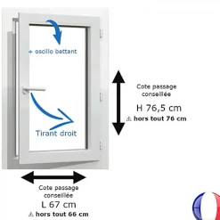 Gefradis Fenêtre PVC blanc 1 vantail hors tout H 76 x L 66 cm oscillo battant pour pose rénovation - tirant droit- Fenêtre Pvc