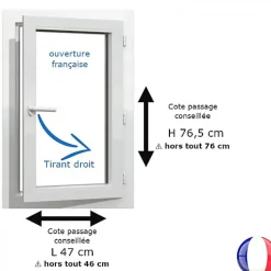 Gefradis Fenêtre PVC blanc 1 vantail hors tout H 76 x L 46 cm ouverture française pour pose rénovation - tirant droit- Fenêtre Pvc