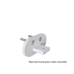 AICA Sanitaire Accessoire D'Escalier<Kit Garde-corps 2m avec raccords muraux - Alu ARGENT - Pose verticale à plat - Pour usage intérieur et extérieur