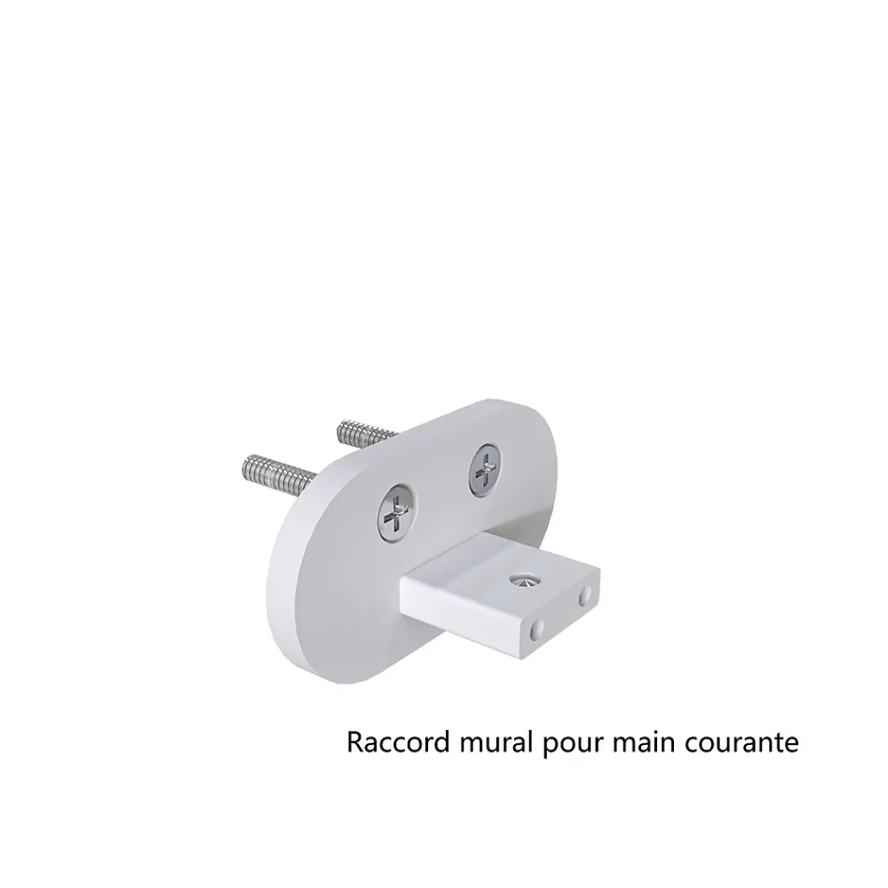 AICA Sanitaire Accessoire D'Escalier<Kit Garde-corps 2m avec raccords muraux - Alu ARGENT - Pose verticale à plat - Pour usage intérieur et extérieur