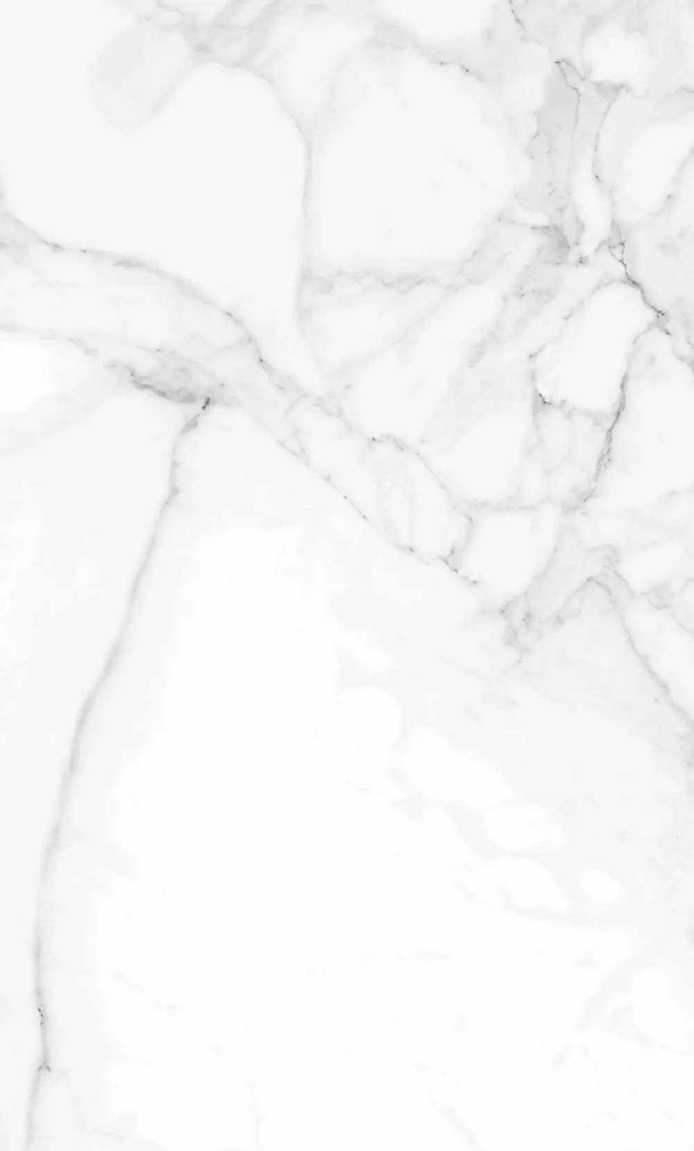 Lambris PVC Carrara Gloss marbre blanc (vendu à la botte)- Lambris Mural