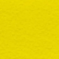 Décoweb Moquette - Stand Event - Jaune - 2 m x 10 ml- Moquette|Moquette