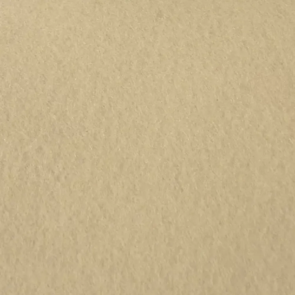 Décoweb Moquette - Stand Event - Sable - 2 m x 10 ml- Moquette|Moquette