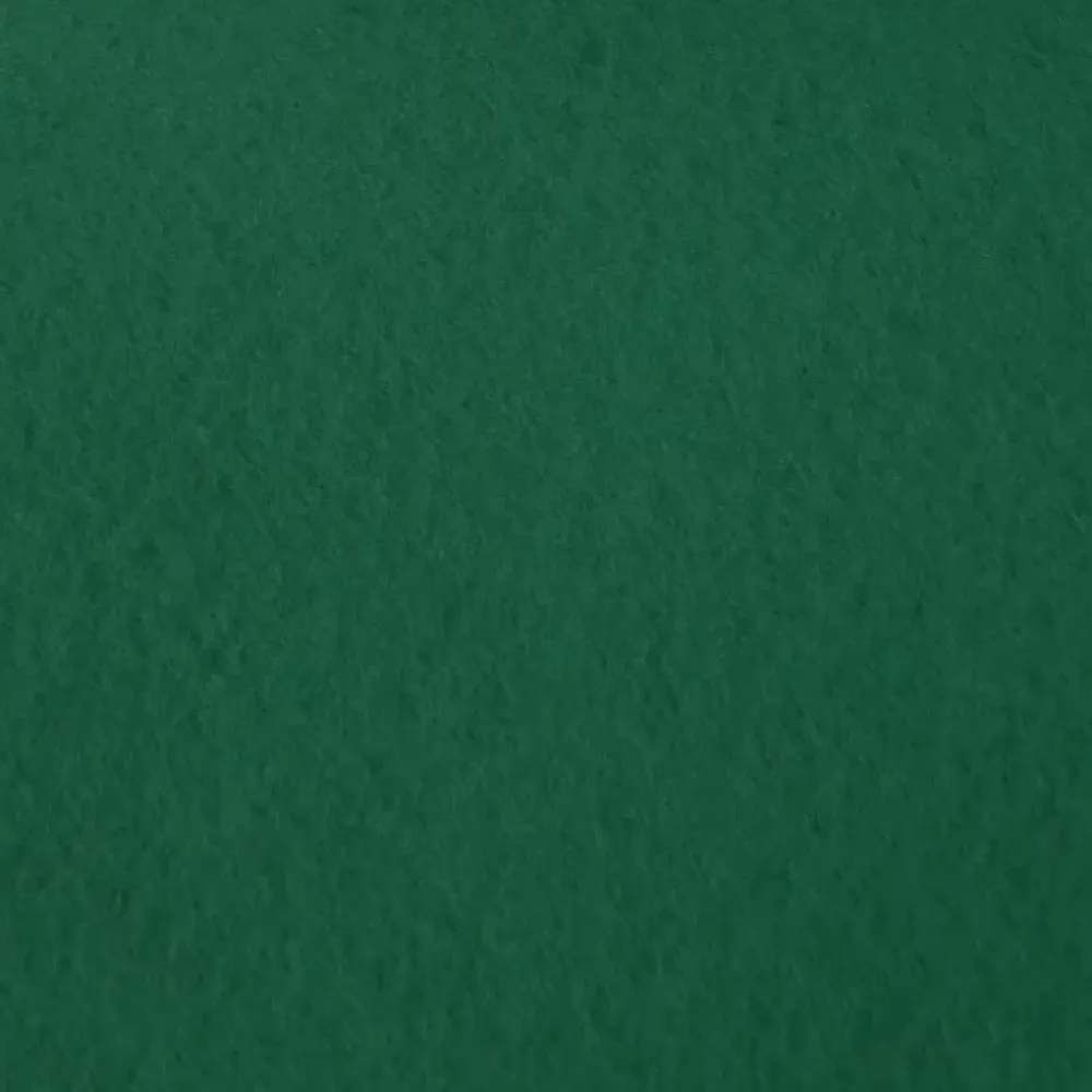 Décoweb Moquette - Stand Event - Vert sapin - 2 m x 10 ml- Moquette|Moquette
