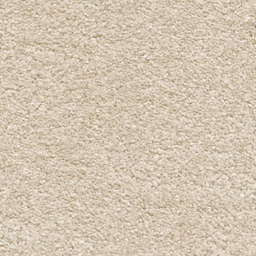 Décoweb Moquette chambre ou salon - Select - Beige clair - Rouleau de 4m x 6m- Moquette|Moquette