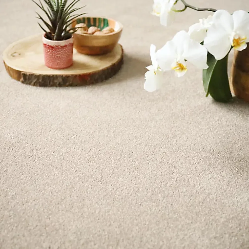Décoweb Moquette|Moquette<Moquette en polyester recyclé - Re-cycle - Beige - Rouleau de 4m x 7m