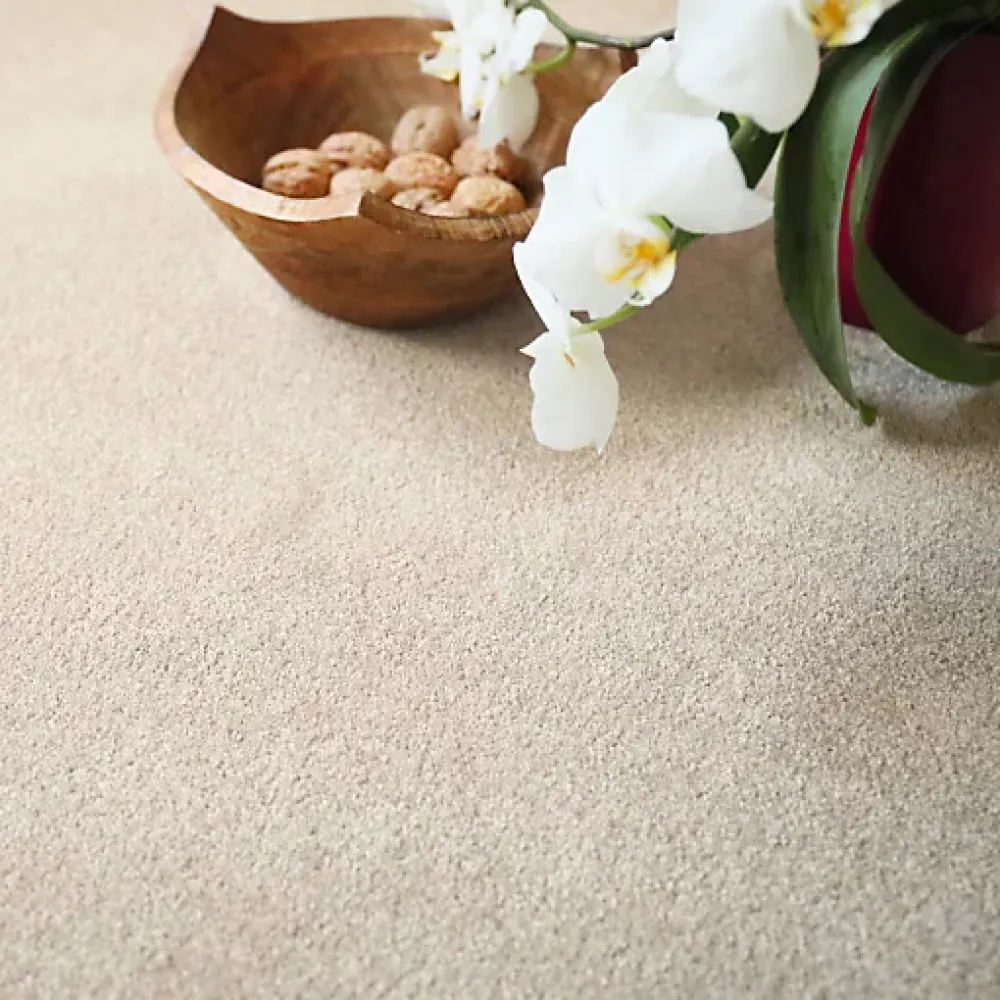 Décoweb Moquette en polyester recyclé - Re-cycle - Beige - Rouleau de 4m x 11m- Moquette|Moquette
