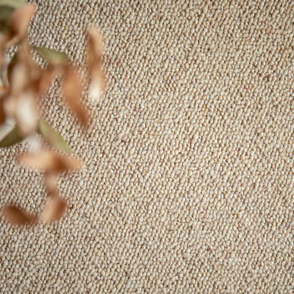 Décoweb Moquette|Moquette<Moquette pure laine vierge bouclée - Mallow - Beige - Rouleau de 4m x 1m