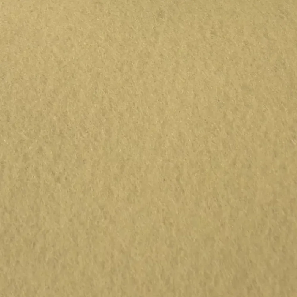 Décoweb Moquette|Moquette<Moquette Stand Expo - Beige - Rouleau de 2m x 12m