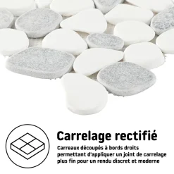 Mosaïque Pour Douche|Mosaïque Pour Wc<Mosaïque sol et mur en pierre galets blancs et gris L.31 x l.31,5 cm x ép.8 mm, Malaca