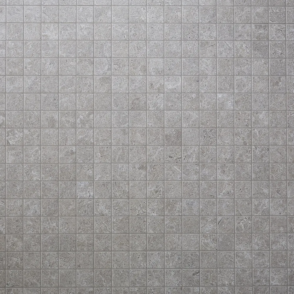 Colours Mosaïque Pour Douche<Mosaïque sol et mur gris 30 x 30 cm Soft Lime Stone