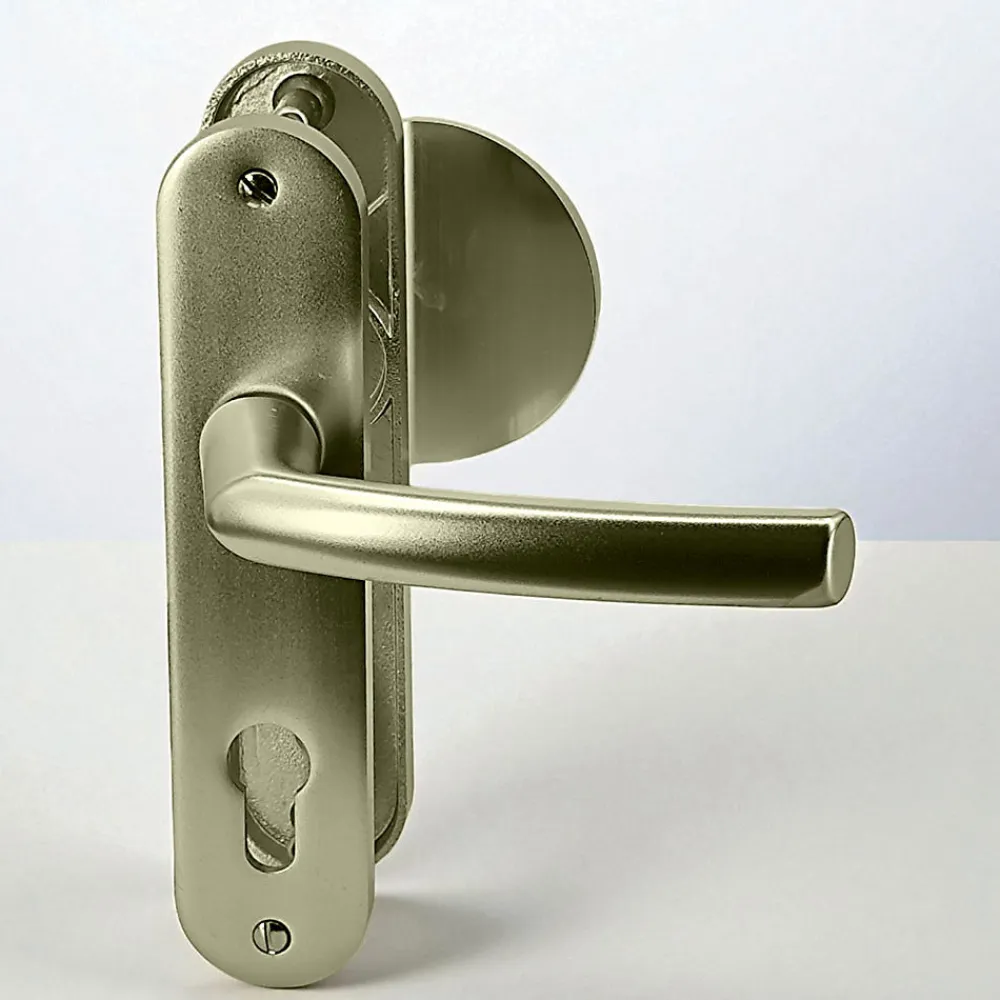 Autres Paire poignées de porte aluminium blindée Bricard Osmose 190 mm béquille aileron trou cylindre- Poignée De Porte