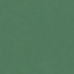 Produx Panneau médium teinté dans la masse Forescolor vert 80 x 40,5 cm, ép.16 mm- Panneau Bois, Osb, Mdf