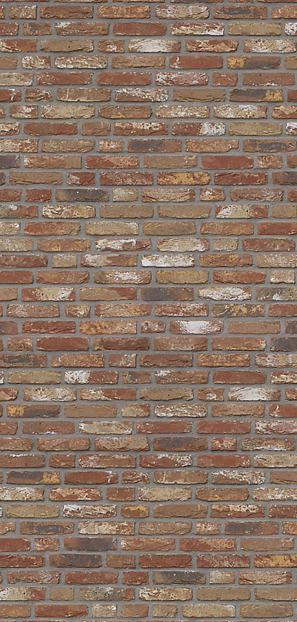 Schulte Panneau Mural De Salle De Bains<Panneau mural de salle de bains l.100 x H.210 cm, effet brique industrielle rouge, DécoDesign