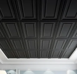 Deccart Panneaux de plafond et panneaux muraux Decoratif Rama Noir 10m² / 20pièces- Panneau Mural Décoratif