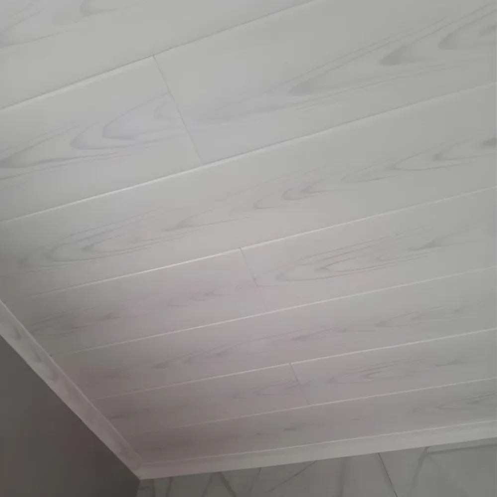 Deccart Panneau Mural Décoratif<Panneaux de plafond et panneaux muraux Decoratif P02 6m² / 36pièces