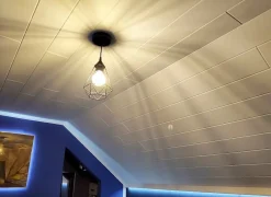 Deccart Panneau Mural Décoratif<Panneaux de plafond et panneaux muraux Decoratif P08 10m² / 60pièces