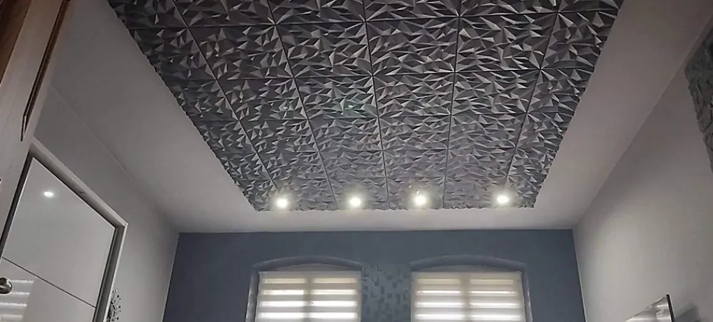 Deccart Panneau Mural Décoratif<Panneaux de plafond et panneaux muraux Decoratif 3D Ametyst Noir 2m² / 8pièces