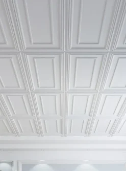 Deccart Panneau Mural Décoratif<Panneaux de plafond et panneaux muraux Decoratif Rama Blanc 6m² / 12pièces