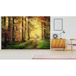 Scenolia Papier Peint Panoramique<Papier peint intissé AUTOMNAL forêt orangée 400 x 270 cm (LxH) - Tapisserie murale panoramique XXL, Made in France par