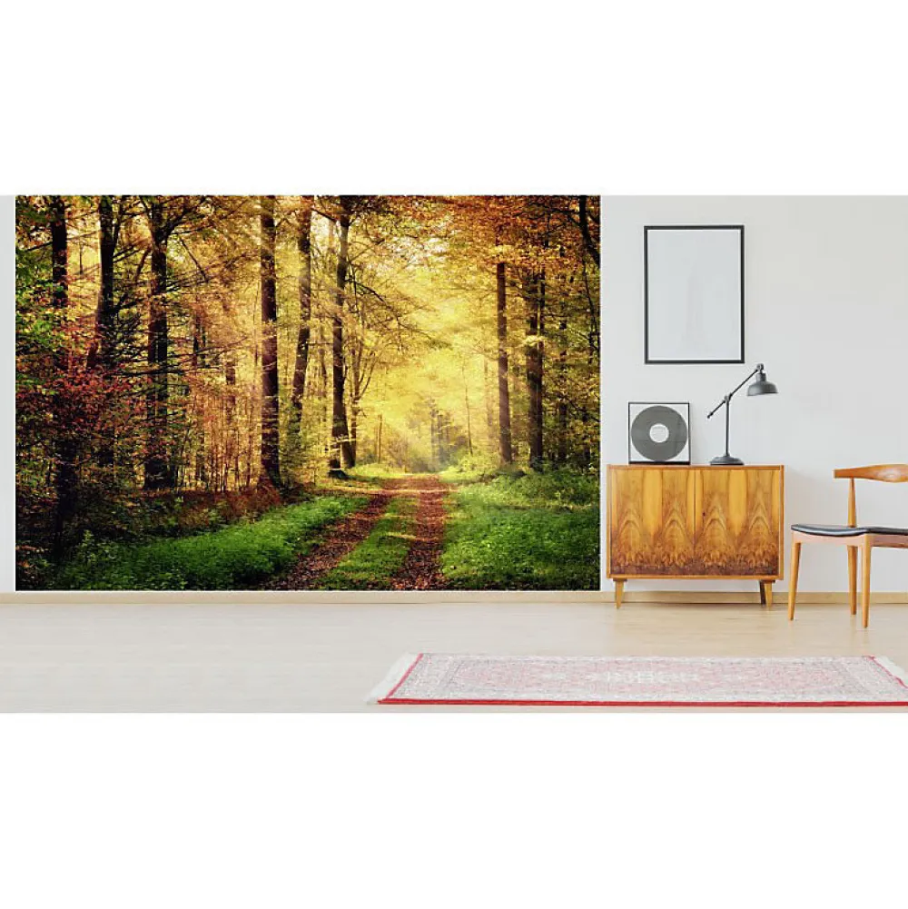 Scenolia Papier Peint Panoramique<Papier peint intissé AUTOMNAL forêt orangée 400 x 270 cm (LxH) - Tapisserie murale panoramique XXL, Made in France par