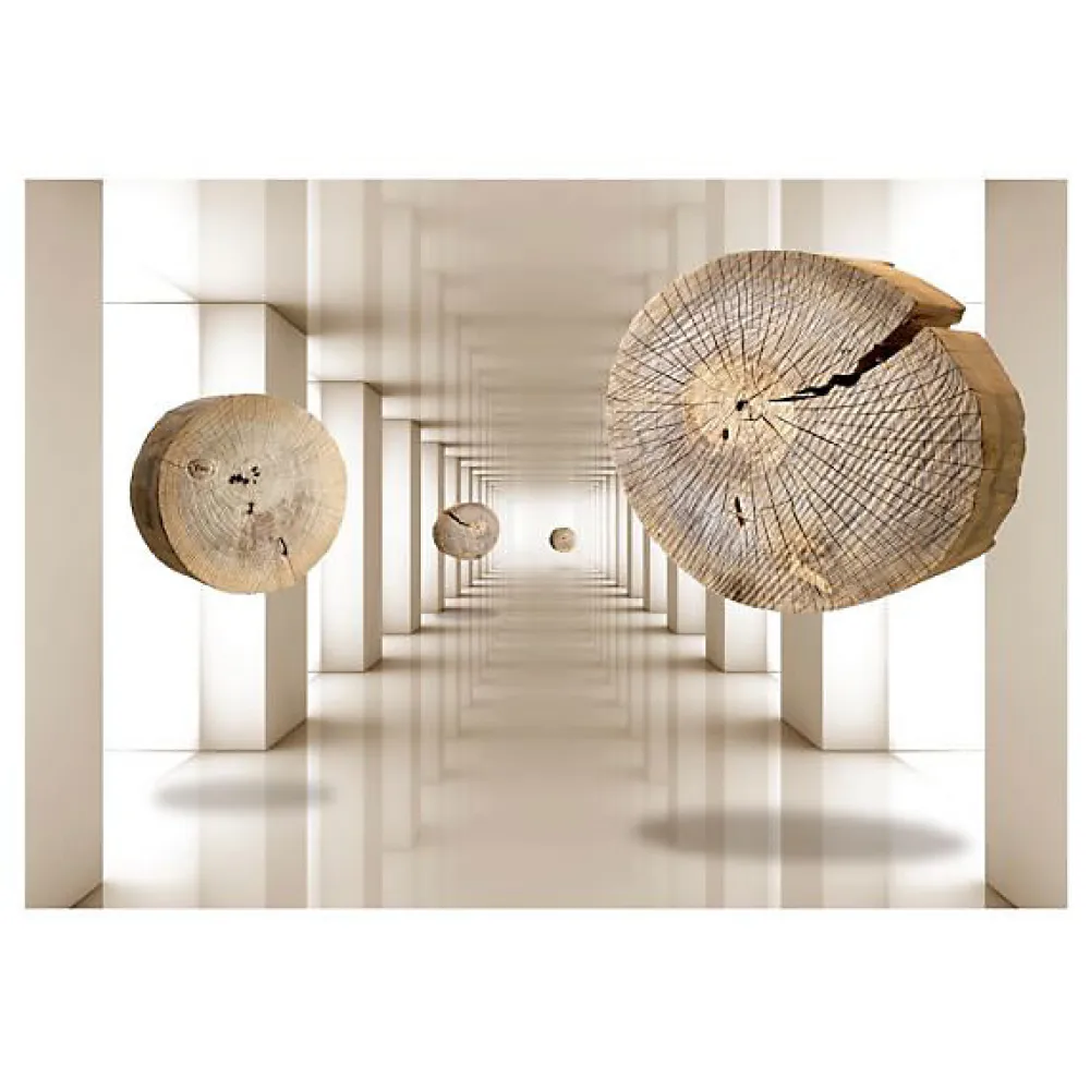 Planete Discount Papier Peint Panoramique<Papier peint intissé panoramique 3d et perspective cercles de bois volants 350x245 cm