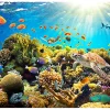Planete Discount Papier peint intissé panoramique paysage underwater land 350x245 cm- Papier Peint Panoramique