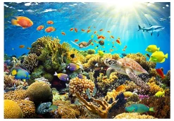Planete Discount Papier peint intissé panoramique paysage underwater land 350x245 cm- Papier Peint Panoramique