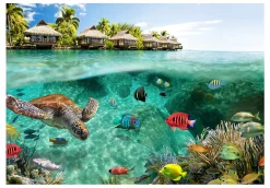 Planete Discount Papier peint intissé panoramique animaux under the surface of water 350x245 cm- Papier Peint Panoramique