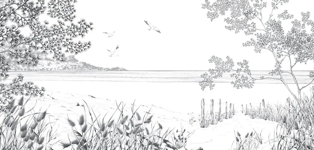 Acte Déco Papier Peint Panoramique<Papier peint panoramique Côtes Sauvages, Noir et blanc 525 x 250cm