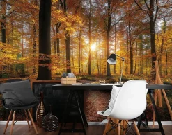 Wallarena Papier Peint Panoramique<Papier Peint Panoramique Intissé Forêt Arbres Brun - 400x280 cm - Papier Peint Chambre et salon