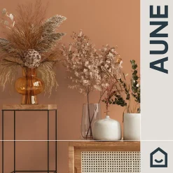 GoodHome Papier Peint<Papier peint vinyle intissé uni orange terracotta L.53 x l.1005 cm Aune