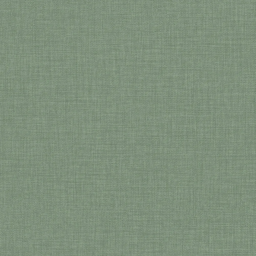 GoodHome Papier peint vinyle intissé uni structuré vert L.1000 x l.52 cm Shung- Papier Peint