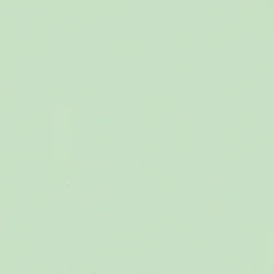 GoodHome Papier peint vinyle intissé uni vert L.1005 x l.53 cm Aune- Papier Peint