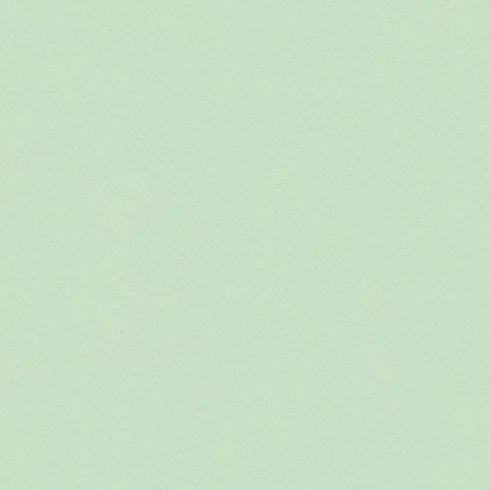 GoodHome Papier peint vinyle intissé uni vert L.1005 x l.53 cm Aune- Papier Peint