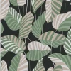A.S. Creation Papier Peint<Papier peint vinyle sur intissé Jungle L.10.05 x l.0.53 m. - Réf. SP15944