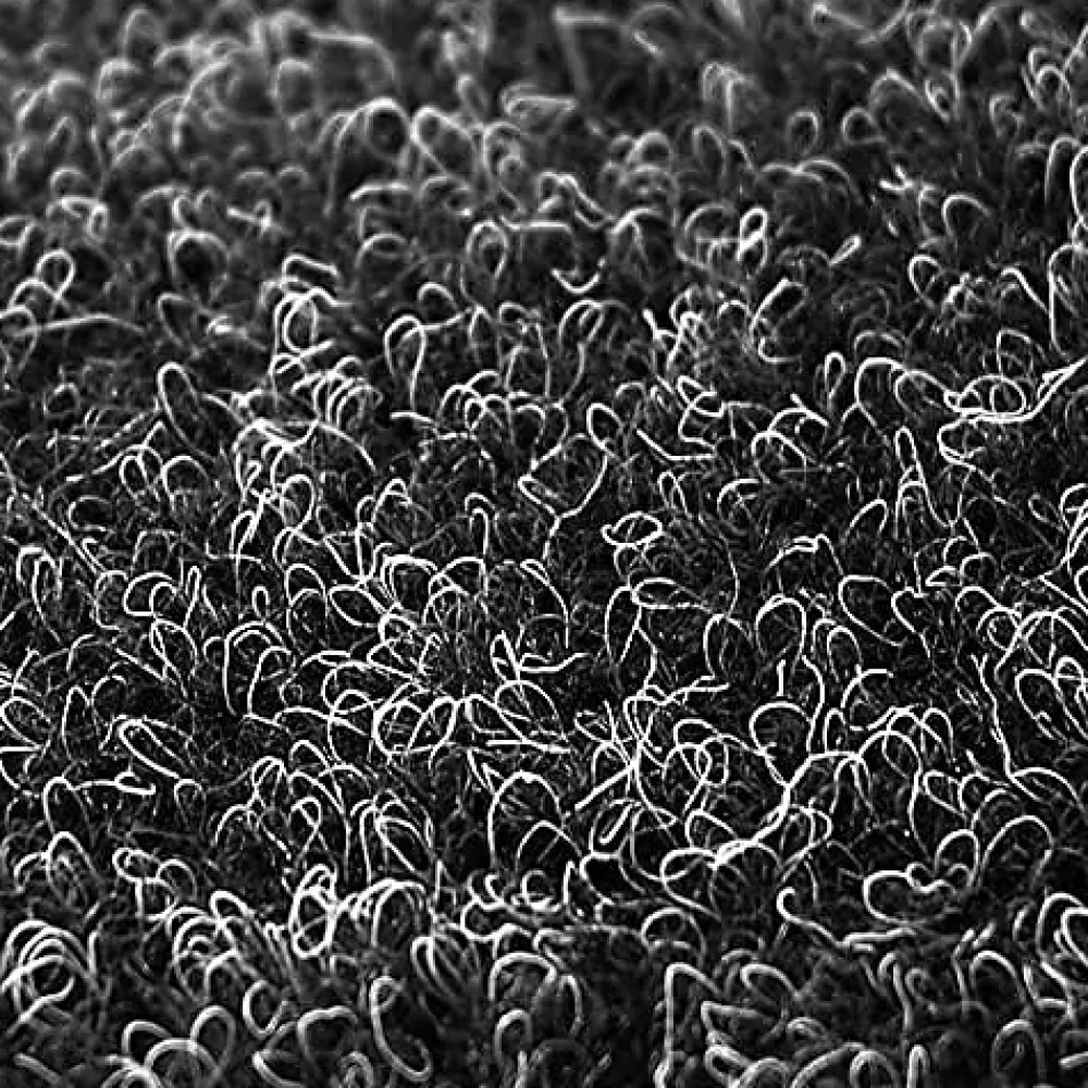 Floordirekt Moquette|Moquette<Pelouse synthétique Farbwunder Pro Noir 100 x 2000 cm