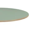 Restootab Plateau rond 120cm couleur vert celadon chants imitation bois -- Panneau Bois, Osb, Mdf