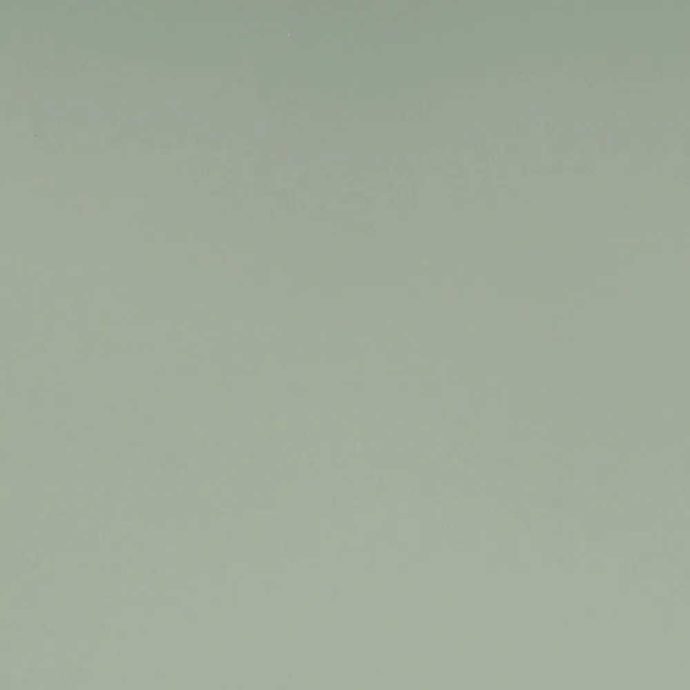 Restootab Panneau Bois, Osb, Mdf<Plateau 160x80 couleur vert celadon -