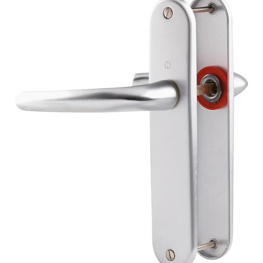 Hoppe Poignée de porte intérieure - San diego - Et Cie - Gris argent - Bec de cane - 165 mm- Poignée De Porte