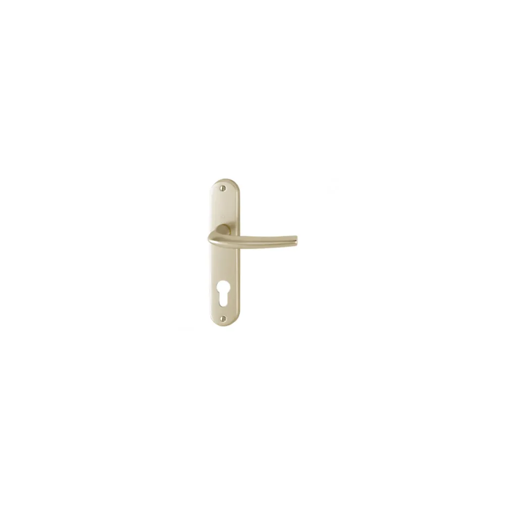 Hoppe Poignée de porte intérieure - San diego - Et Cie - Gris argent - Bec de cane - 165 mm- Poignée De Porte