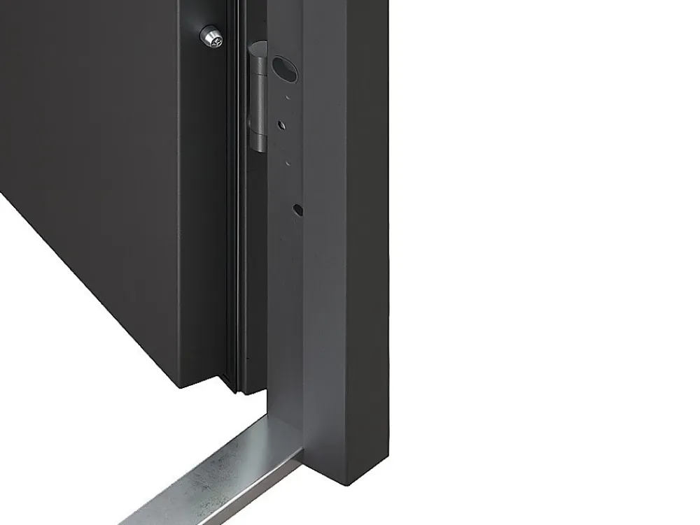 Vente-unique Porte D'Entrée<Porte d'entrée en acier pleine et inox H207 x L100 cm anthracite - épaisseur 68 mm - poussant droit - LUSADA