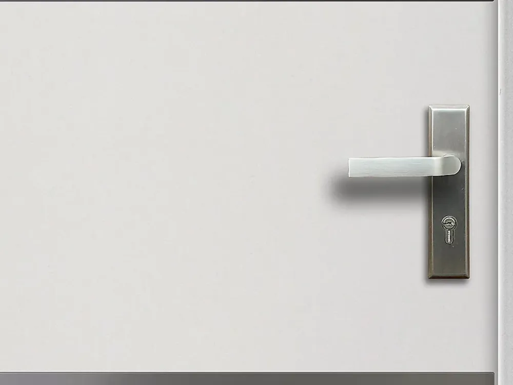 Vente-unique Porte D'Entrée<Porte d'entrée en acier pleine et inox H207 x L100 cm blanc - épaisseur 55 mm - poussant gauche - NAXARA
