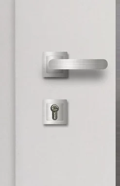 Fortia Porte d'entrée acier blanc RAL 9003 Ricadi 96 x h.218 cm poussant gauche- Porte D'Entrée