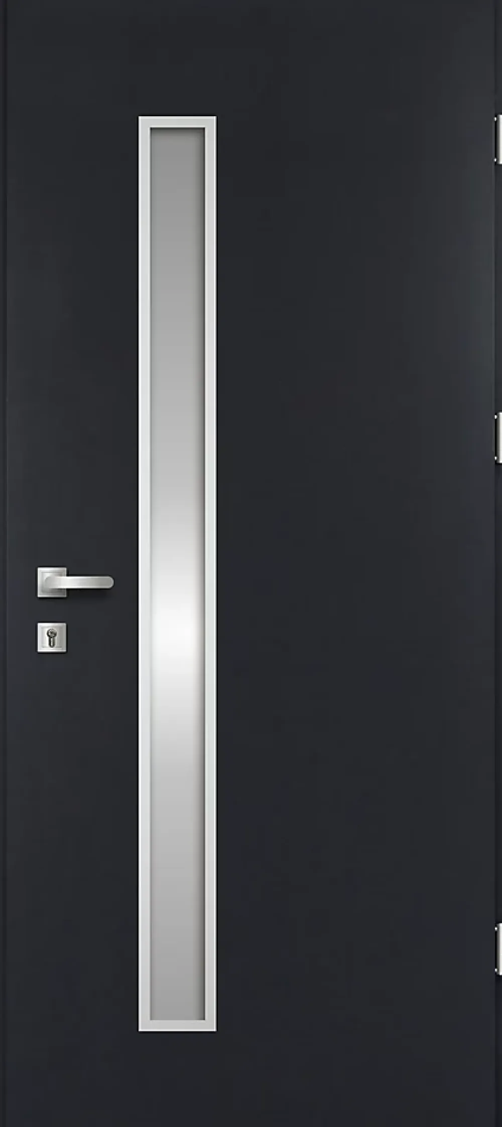 Fortia Porte d'entrée acier gris RAL 7016 Pasni 96 x h.218 cm poussant gauche- Porte D'Entrée