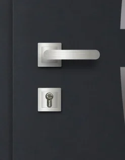 Fortia Porte D'Entrée<Porte d'entrée acier gris RAL 7016 Valtos 96 x h.218 cm poussant droit