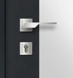 Fortia Porte d'entrée acier gris RAL 7016 Jesolo 96 x h.218 cm poussant droit- Porte D'Entrée