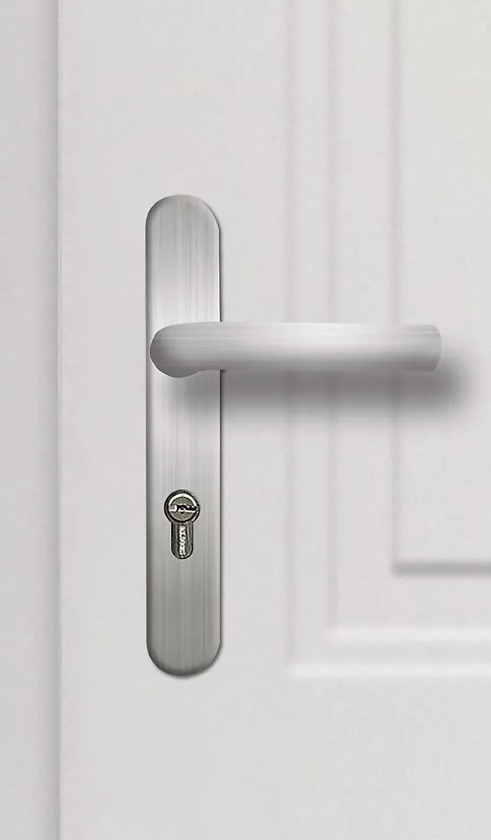 Fortia Porte d'entrée acier blanc RAL 9003 Isabela 96 x h.218 cm poussant droit- Porte D'Entrée